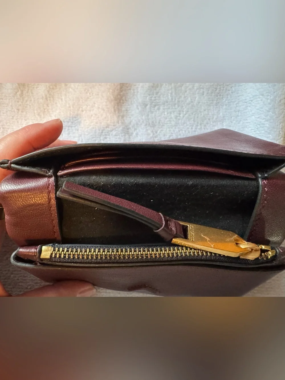 All Saints Maroon Leather Women's Wallet